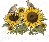Dove Season - Hunting DTF Transfers