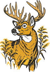 Whitetail Deer - Hunting DTF Transfers