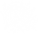 B&W Camera with Flowers - Photography DTF Transfers