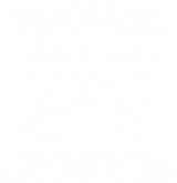 Dinosaurs Didn't Read and We Know What Happened To Them - Reading DTF Transfers
