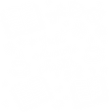 Just One More Chapter - Reading DTF Transfers
