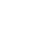 Play Something Country - Music DTF Transfers