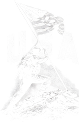 USA, B&W - Army DTF Transfers