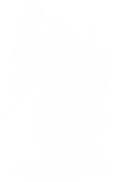 Soldier Holding US Flag - Army DTF Transfers