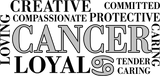 Cancer Qualities, Gray, Horizontal - Zodiacs & Horoscopes DTF Transfers