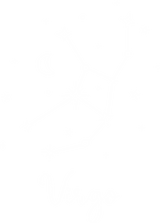 Virgo Constellations - Zodiacs & Horoscopes DTF Transfers
