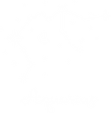Aquarius Constellations - Zodiacs & Horoscopes DTF Transfers