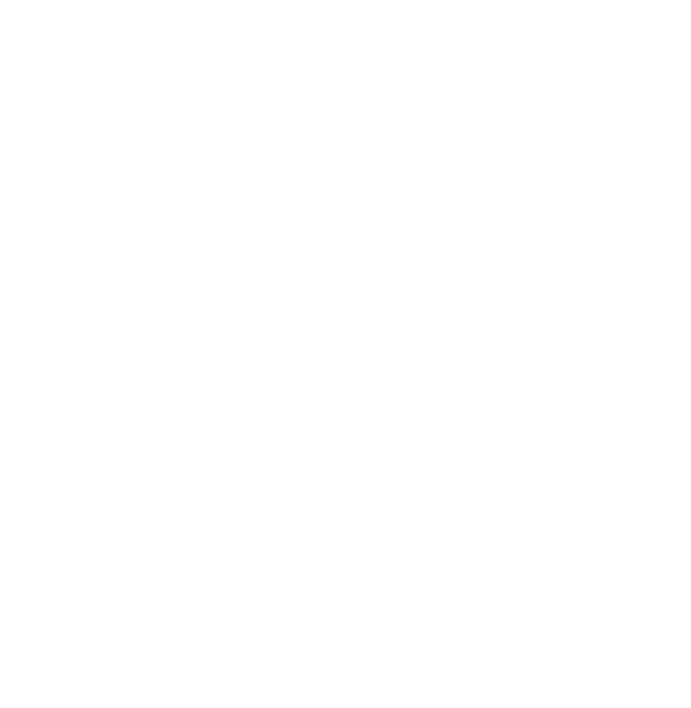Leo Constellations - Zodiacs & Horoscopes DTF Transfers