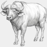 African Buffalo B&W - Animals DTF Transfers - Adult Unisex - S & M (10’’) / Light Color Design (See Imaging)