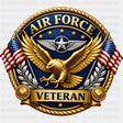 Air Force Veteran - Air Force DTF Transfers