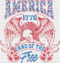 America 1776 Land Of The Free Hawk - 4th Of July DTF Transfer Adult Unisex - S & M (10’’) / Dark Color Design (See