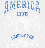 America 1776 Land Of The Free Hawk - 4th Of July DTF Transfer Adult Unisex - S & M (10’’) / Light Color Design (See