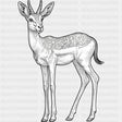 Antelope B&W - Animals DTF Transfers - Adult Unisex - S & M (10’’) / Dark Color Design (See Imaging)