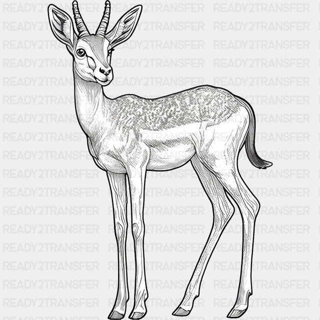 Antelope B&W - Animals DTF Transfers - Adult Unisex - S & M (10’’) / Dark Color Design (See Imaging)