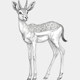 Antelope B&W - Animals DTF Transfers - Adult Unisex - S & M (10’’) / Light Color Design (See Imaging)