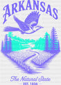 Arkansas The Natural State - States & Cities DTF Transfer ready2transfer