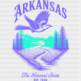 Arkansas The Natural State - States & Cities DTF Transfer ready2transfer