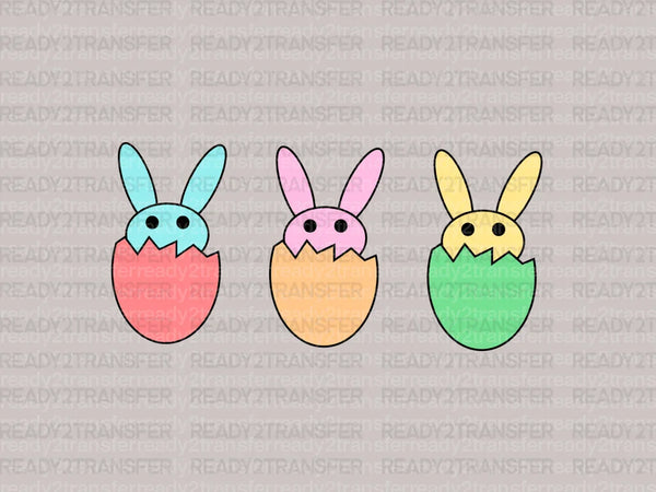 Baby Rabbits DTF Transfer