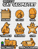 Basics Of Cat Geometry - Cats DTF Transfer