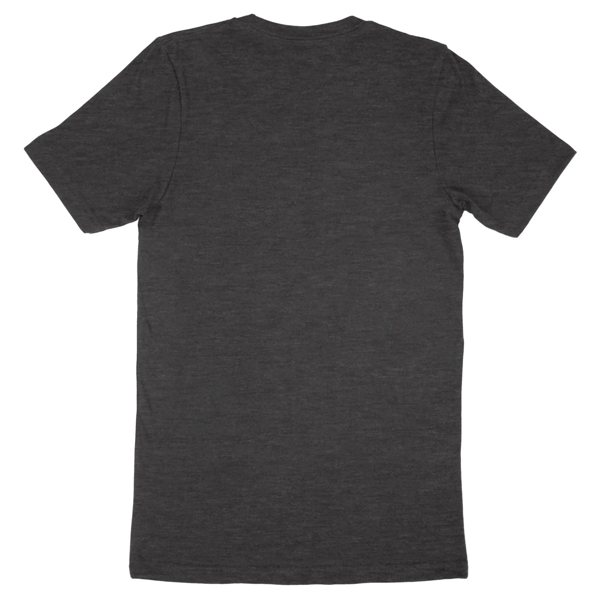 Back view of a charcoal grey Bella Canvas Adult T-Shirt 3001