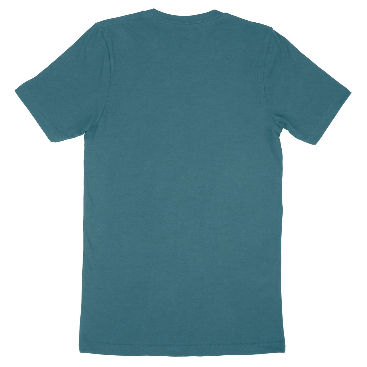 Back view of a teal Bella Canvas Adult T-Shirt 3001 blank tee.