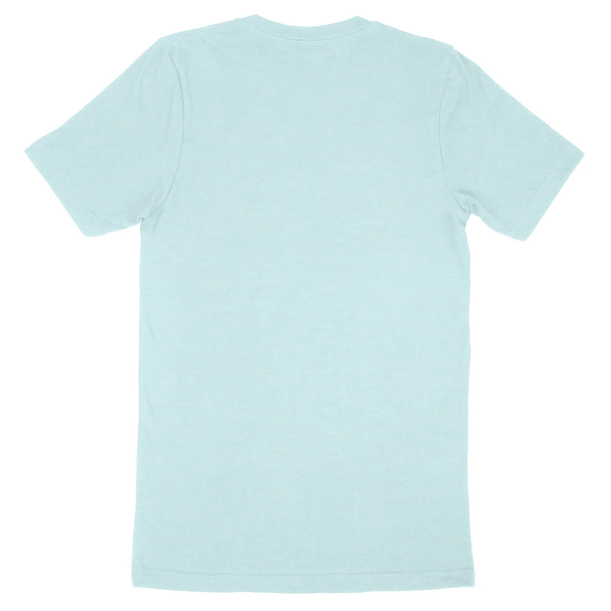 Back view of a light blue Bella Canvas Adult T-Shirt 3001