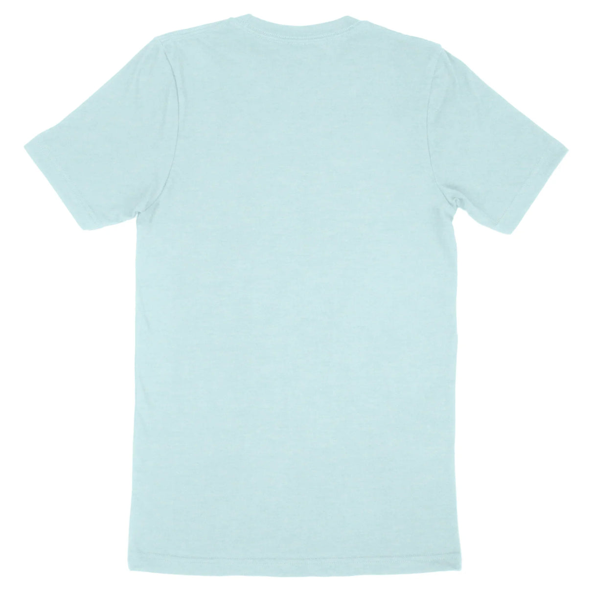 Custom Bella + Canvas Adult T-Shirt 3001