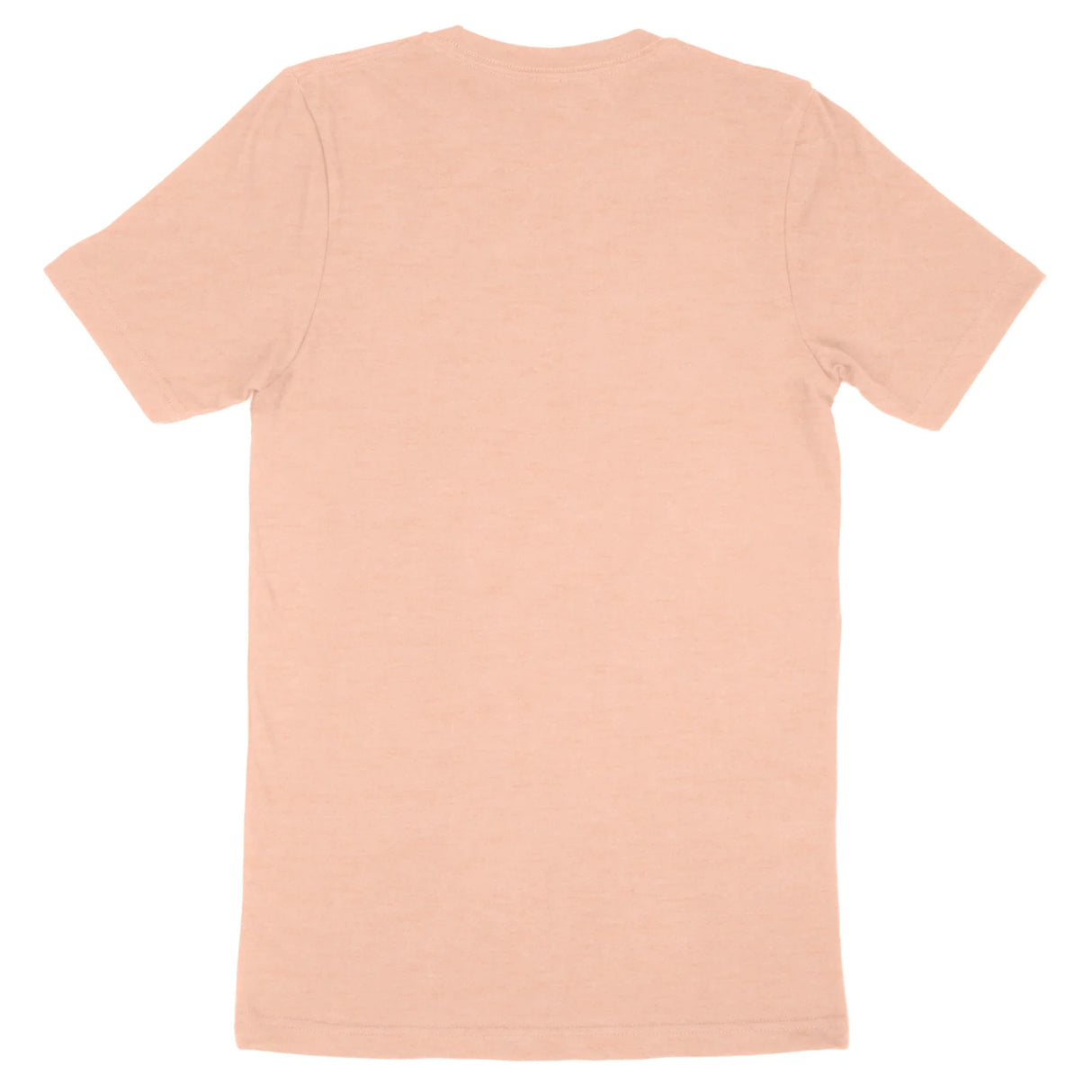 Custom Bella + Canvas Adult T-Shirt 3001