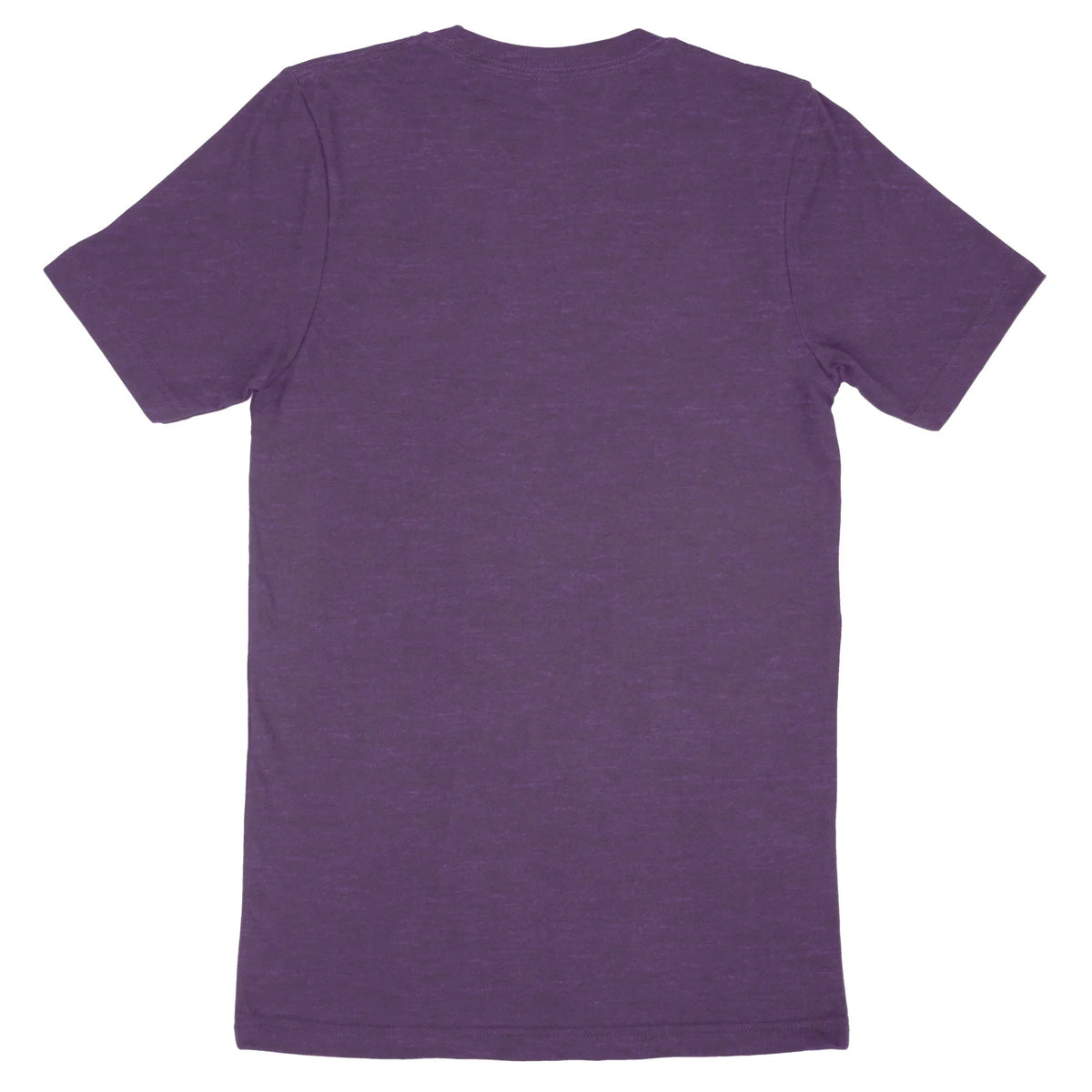 Back view of a purple Bella Canvas Adult T-Shirt 3001