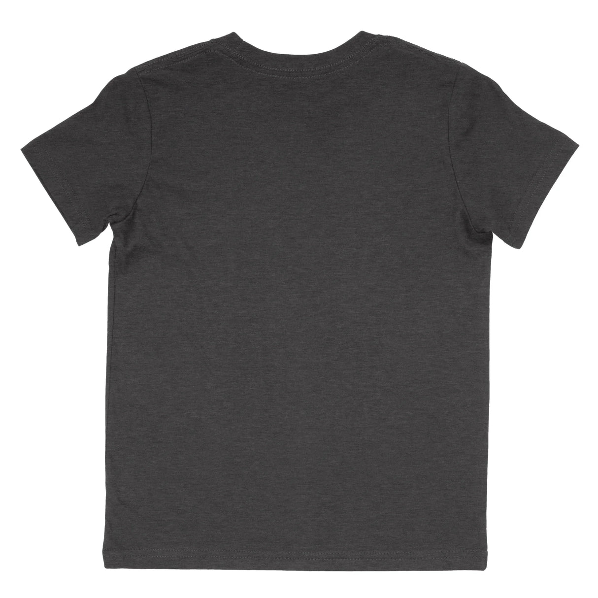 Heather dark grey short sleeve kids t-shirt shown from back on white background