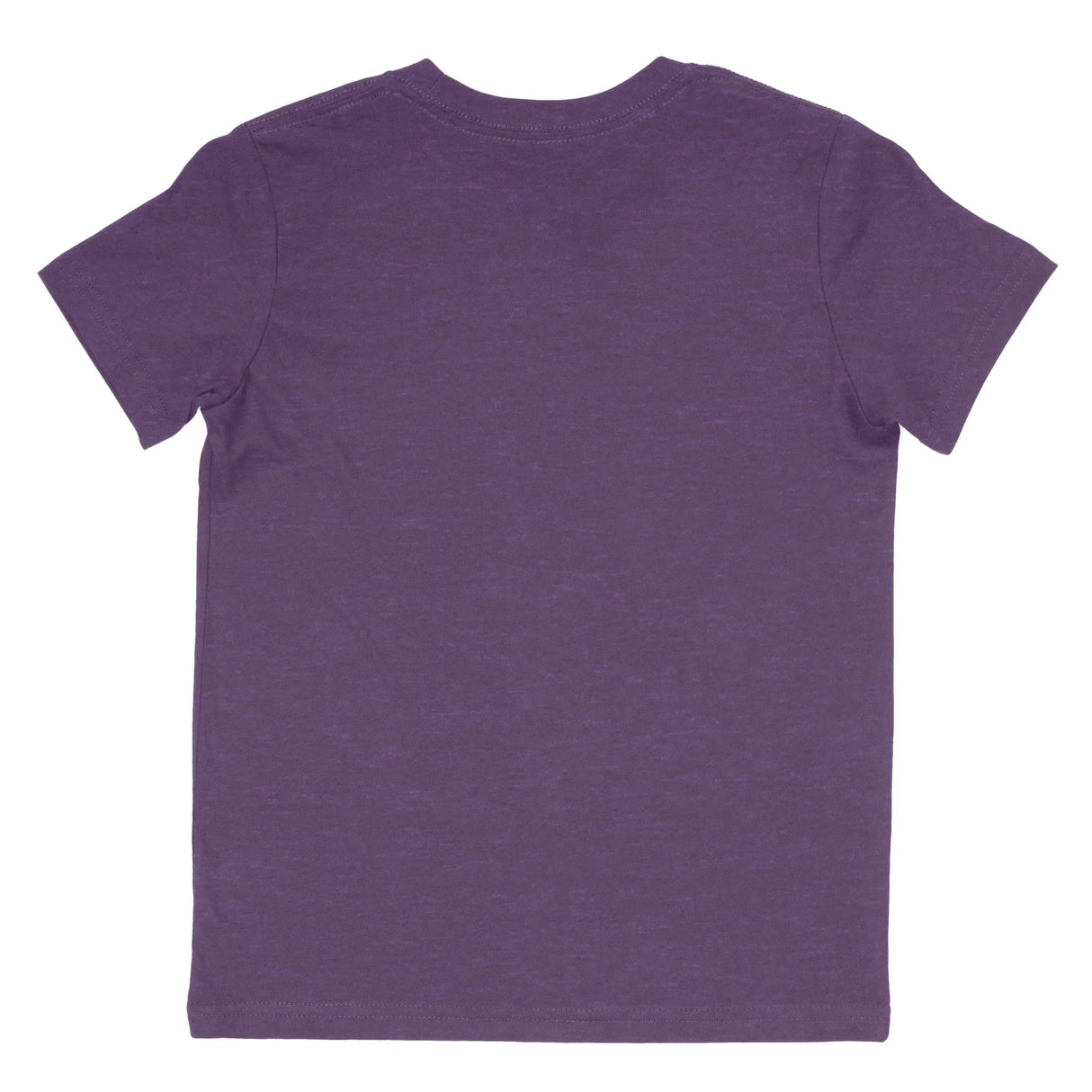 Back view of a plain purple heather short-sleeve t-shirt with crew neck