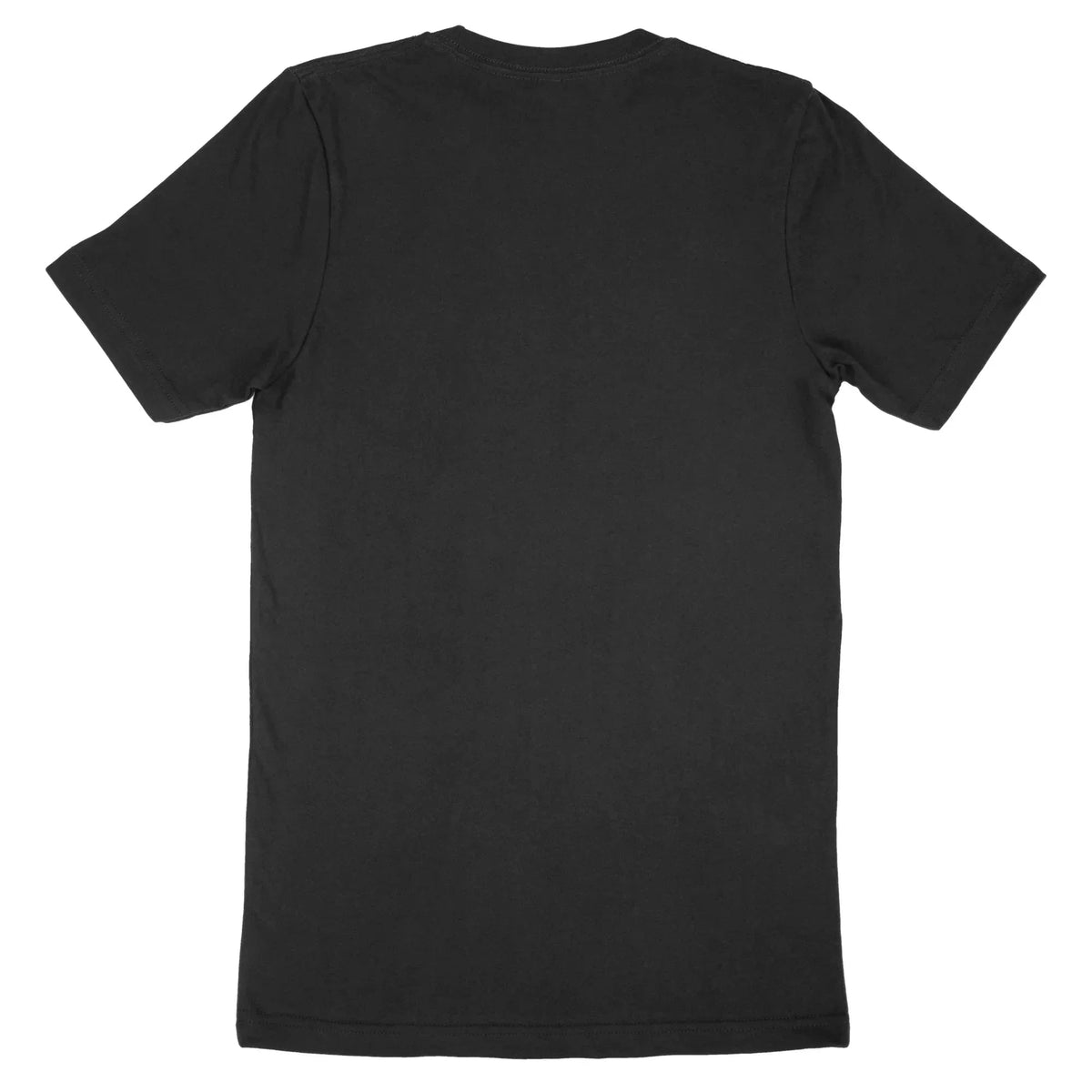 Back view of a plain black Bella Canvas Adult T-Shirt 3001