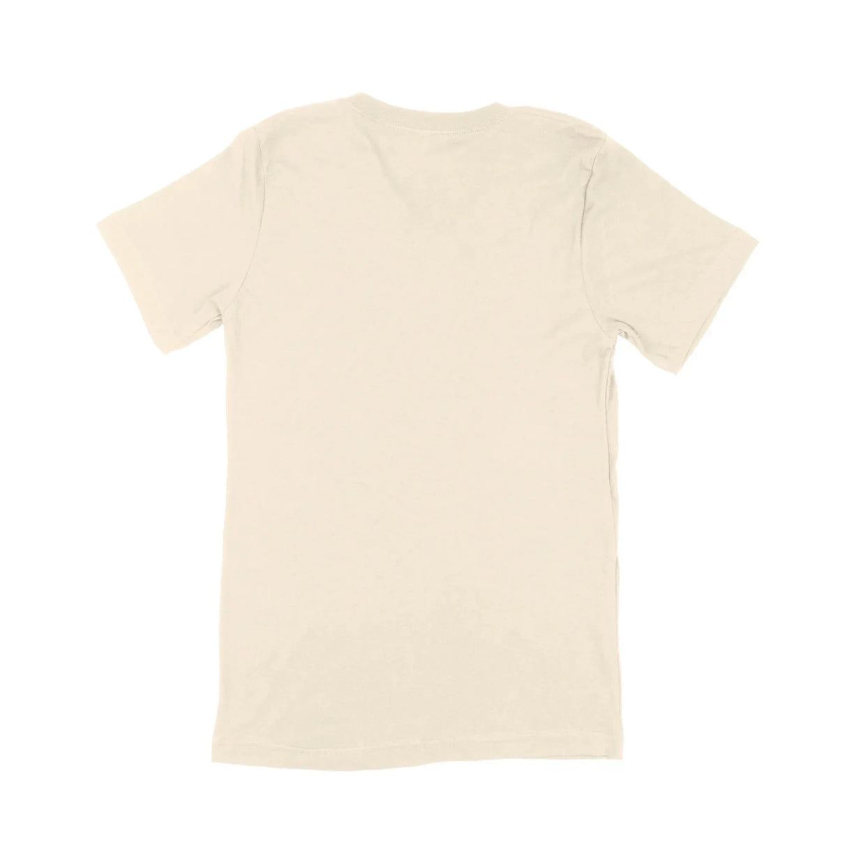 Custom Bella + Canvas Adult V-Neck T-Shirt 3005