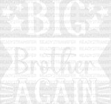 Big Brother Again - Dtf Heat Transfer Adult Unisex S & M (10’’) / Light Color Design (See Imaging)