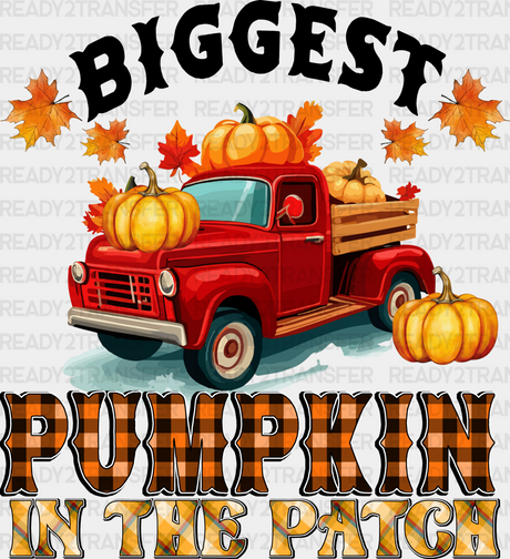 Biggest Pumpkin In The Patch - Fall Dtf Transfer Adult Unisex S & M (10’’) / Dark Color Design