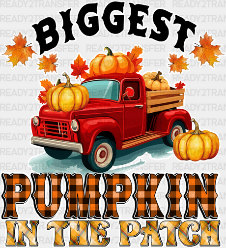 Biggest Pumpkin In The Patch - Fall Dtf Transfer Adult Unisex S & M (10’’) / Light Color Design