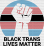 Black Trans Lives Matter - Transgender Iron On Dtf Transfer Adult Unisex S & M (10’’) / Dark