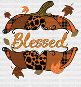 Blessed Pumpkin Sliced - Fall Dtf Transfer Adult Unisex S & M (10’’) / Light Color Design (See