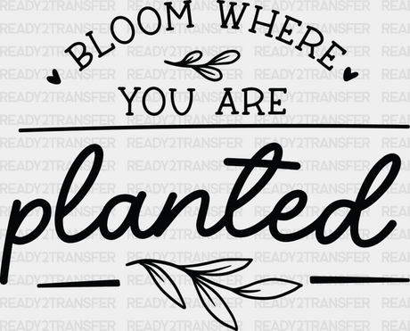 Bloom Where You Are Planted - Plants Dtf Heat Transfer Adult Unisex S & M (10’’) / Dark Color