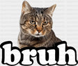 Bruh Gray Tabby Cat - Cats DTF Transfer