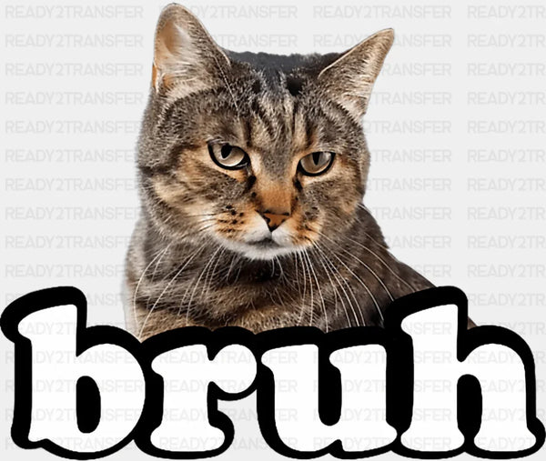 Bruh Gray Tabby Cat - Cats DTF Transfer