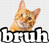 Bruh Orange Tabby Cat - Cats DTF Transfer