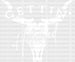 Bull GETTIN Hitched DTF Transfer ready2transfer White