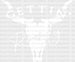 Bull GETTIN Rowdy DTF Transfer ready2transfer White