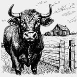 Bull In Farm - Animals DTF Transfers - Adult Unisex - S & M (10’’) / Light Color Design (See Imaging)