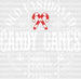 CANDY CANES DTF Transfer ready2transfer White