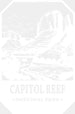 Capitol Reef National Park Design - National Parks DTF Transfers ready2transfer White