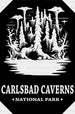 Carlsbad Caverns National Park Design - National Parks DTF Transfers ready2transfer Black