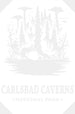 Carlsbad Caverns National Park Design - National Parks DTF Transfers ready2transfer White