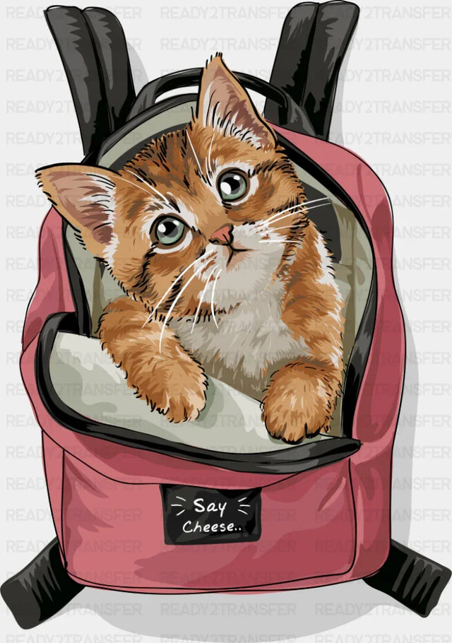 Cat In A Backpack - Cats DTF Transfer